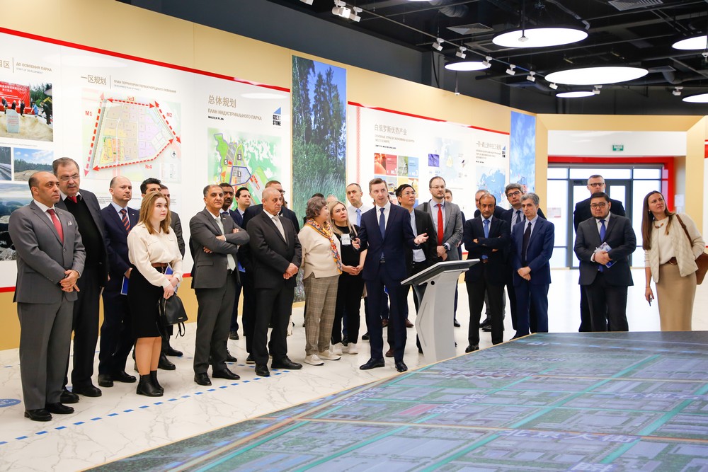 _MG_5991.jpg _MG_5991.jpg